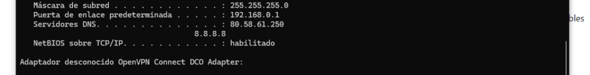 El protocolo DNS: ipconfig /all